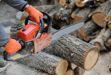 A worker cuts logs with a chainsaw after taking the chainsaw refresher course